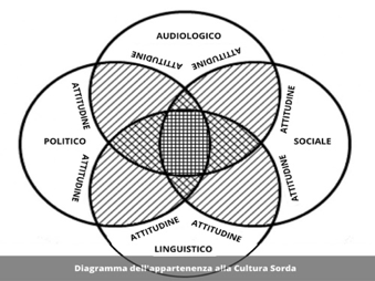 diagramma cultura sorda